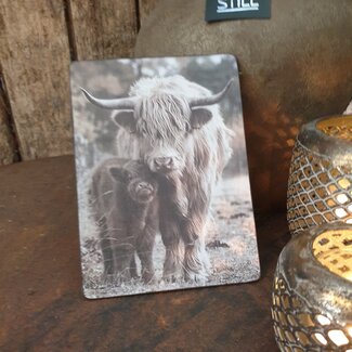 # 878 - afbeelding op hardboard -  hooglander met kalf - 14 x 19 cm
