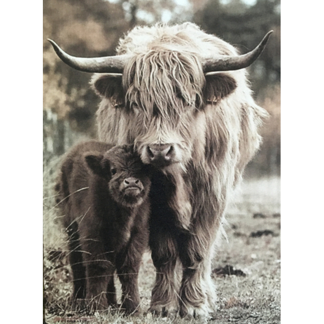# 878 - afbeelding op hardboard -  hooglander met kalf - 14 x 19 cm