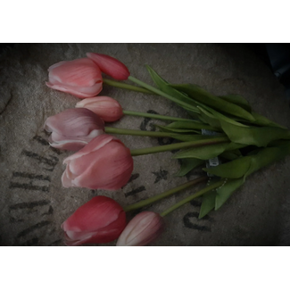 Roze tulpen boeket, 7 stelen - 47 cm