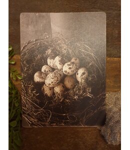 # 742 - Decoratief bordje "Nest met kwarteleieren"