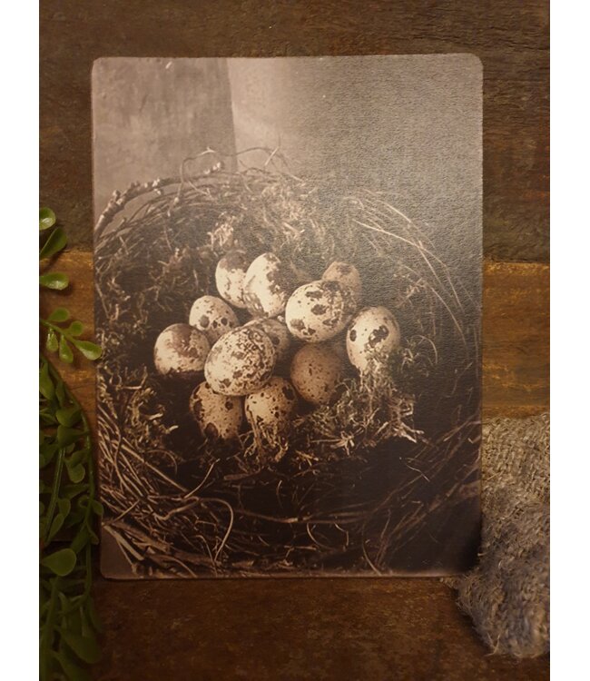 # 742 - Decoratief bordje "Nest met kwarteleieren"