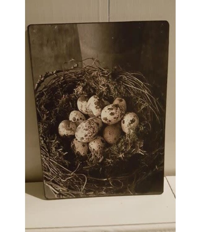 # 742 - Decoratief bordje "Nest met kwarteleieren"