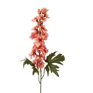 Countryfield # Bloem Delphinium miranda roze-10x10x60CM