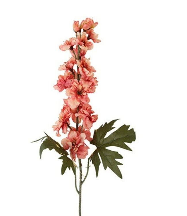 Countryfield # Bloem Delphinium miranda roze-10x10x60CM