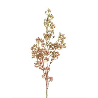 Countryfield # Bloem Conyza roze-14x14x78CM