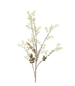 Countryfield # Bloem Phytolacca bogotensis cr-12x12x87CM