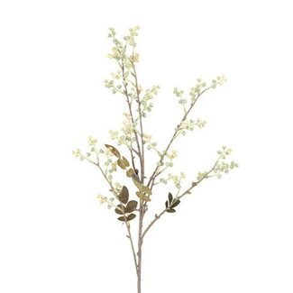 Countryfield # Bloem Phytolacca bogotensis cr-12x12x87CM