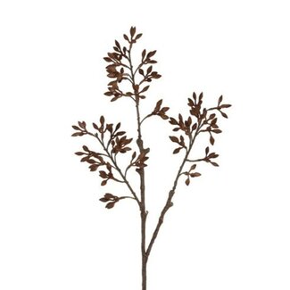Countryfield # Bloem Eucalyptus M bruin-9x16x70CM