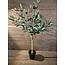 Countryfield Kunstplant Olijf Olea L paars-L70B30H70CM