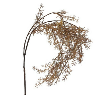Countryfield # Kunstblad treur/hang Asparagus bruin-L96B36H6CM
