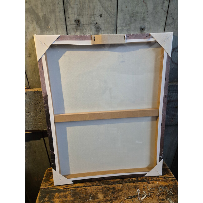 # Schilderij paard - canvas - 40 x 50 cm