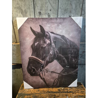 # Schilderij paard - canvas - 40 x 50 cm