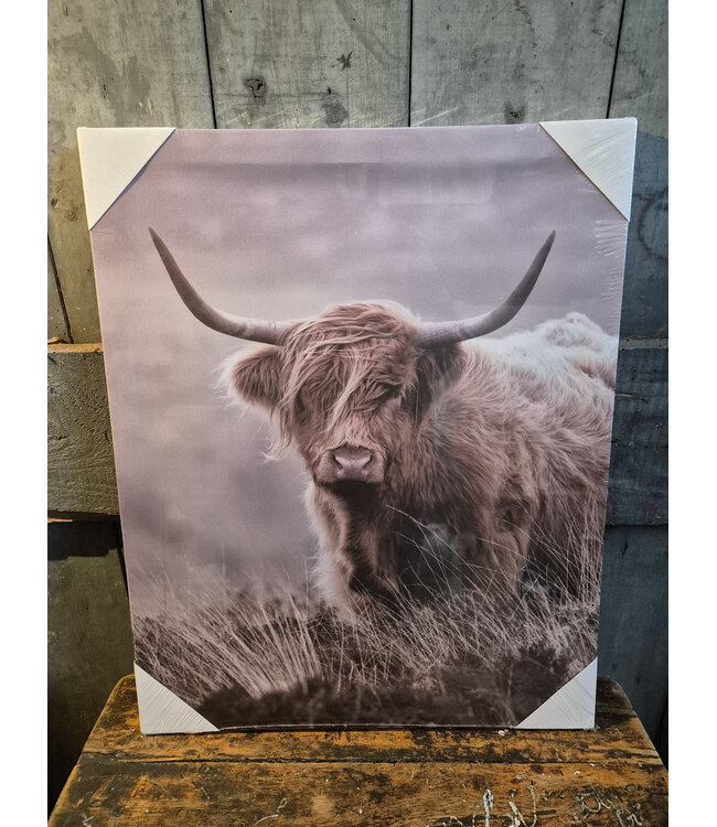 # Schilderij hooglander grijs - canvas - 40 x 50 cm