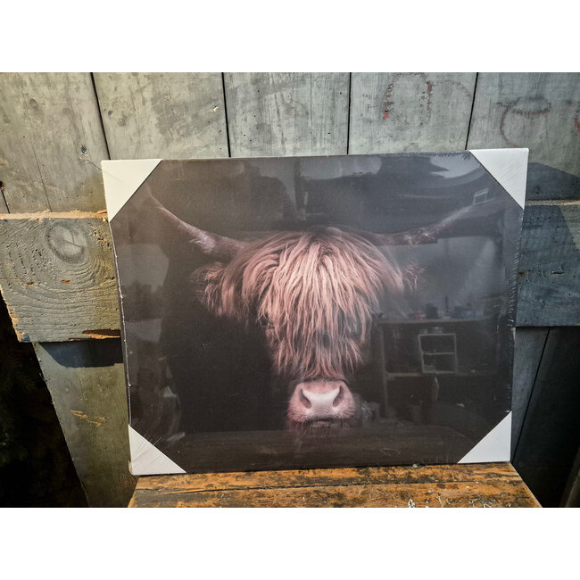 # Schilderij hooglander donker - canvas - 50 x 40 cm