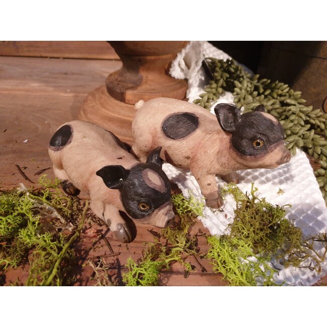 ## Varkens - 4 assortie - 12,5cm - per stuk - random verzonden/uitzoeken alleen in winkel Hellum