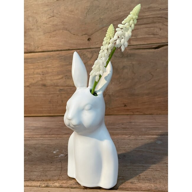## Witte druif "Muscari Stem" 45cm=