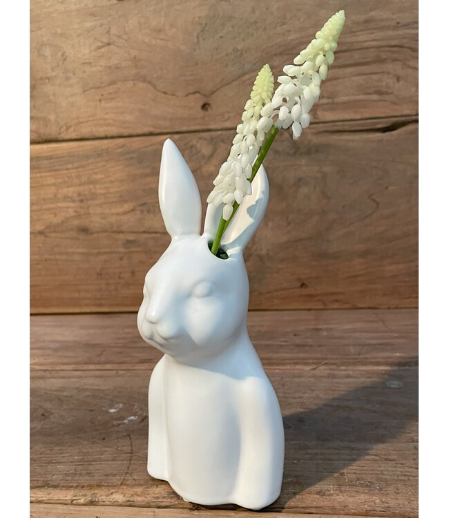 ## Witte druif "Muscari Stem" 45cm=