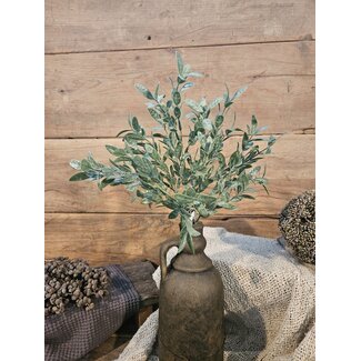 ## LIGUSTRUM BUSH 42 cm