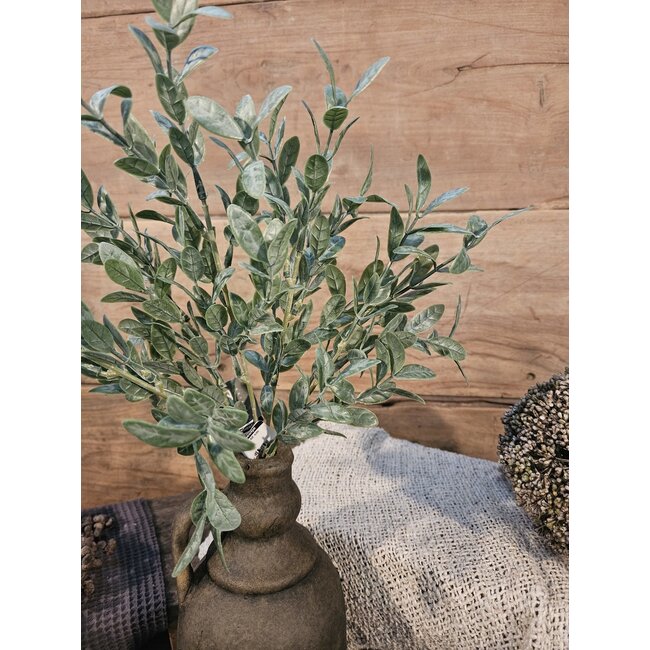 ## LIGUSTRUM BUSH 42 cm