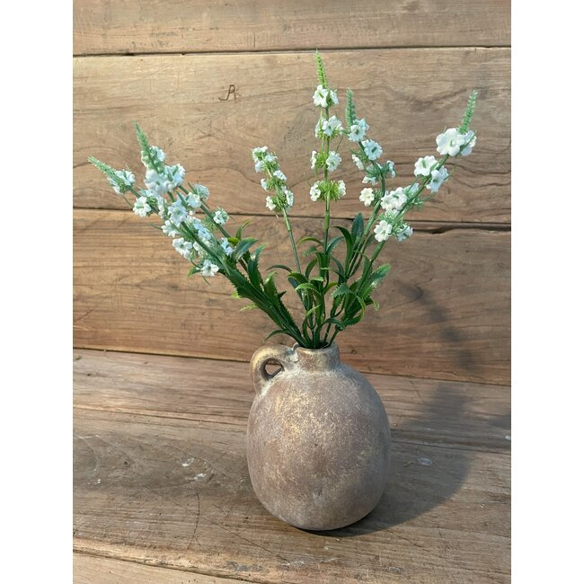 ## lavendula wit - 30 cm