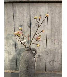 Countryfield # Esdoorn fruit tak Quince S roze-L55B12,5H2,5CM