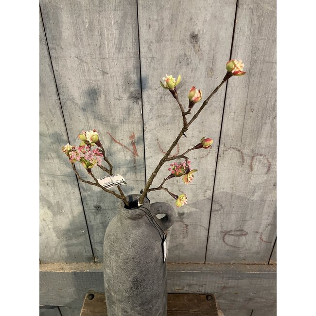 Countryfield # Esdoorn fruit tak Quince S roze-L55B12,5H2,5CM