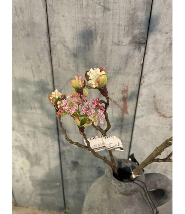 Countryfield # Esdoorn fruit tak Quince S roze-L55B12,5H2,5CM