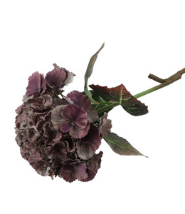 Countryfield @ Bloem Hydrangea zacht lila-24x24x79CM