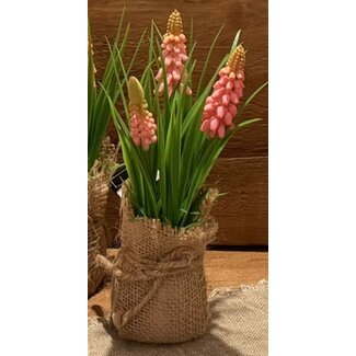 Countryfield # Roze druif in jute Muscari  - L8B8H20CM