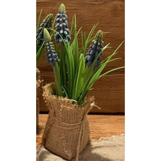 Countryfield # Blauwe druif in jute Muscari  - L8B8H20CM
