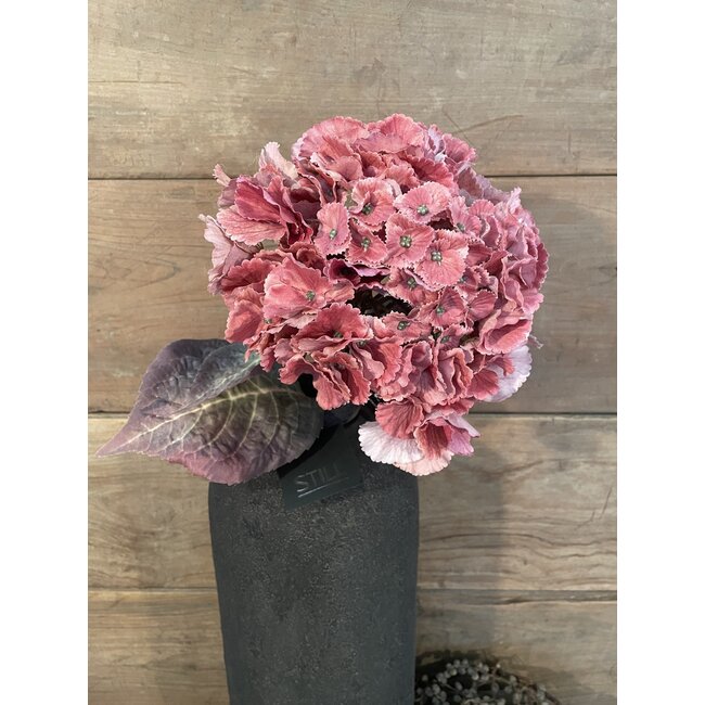 # hydrangea coralpink 79 cm - hortensia