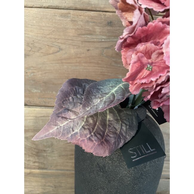 # hydrangea coralpink 79 cm - hortensia