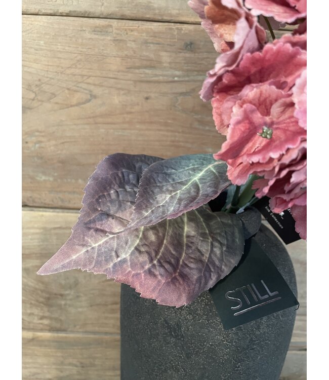 # hydrangea coralpink 79 cm - hortensia