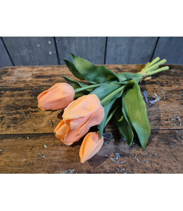 Countryfield # bundel van 5 tulpen - zacht oranje - 30 cm