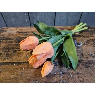 Countryfield bundel van 5 tulpen - zacht oranje - 30 cm