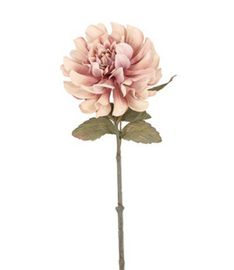 Countryfield # Bloem Dahlia Sibel roze-13x13x57CM
