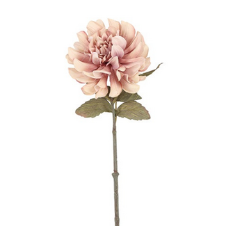 Countryfield Bloem Dahlia Sibel roze-13x13x57CM