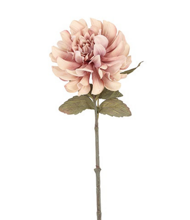 Countryfield # Bloem Dahlia Sibel roze-13x13x57CM