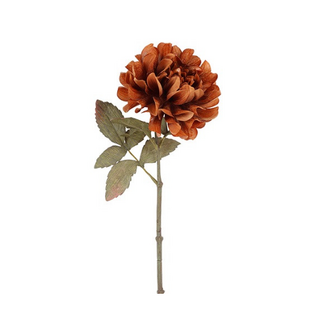 Countryfield Bloem Dahlia Sibel bruin-13x13x57CM