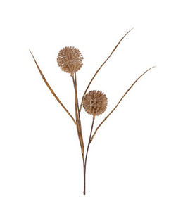 Countryfield # Gras/Pluim Allium 2x bruin-13x7x65CM