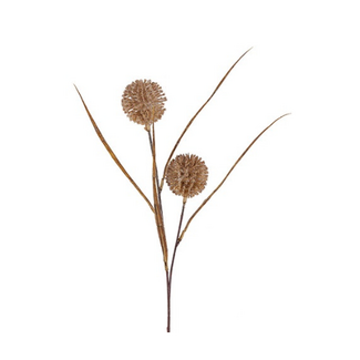 Countryfield Gras/Pluim Allium 2x bruin-13x7x65CM