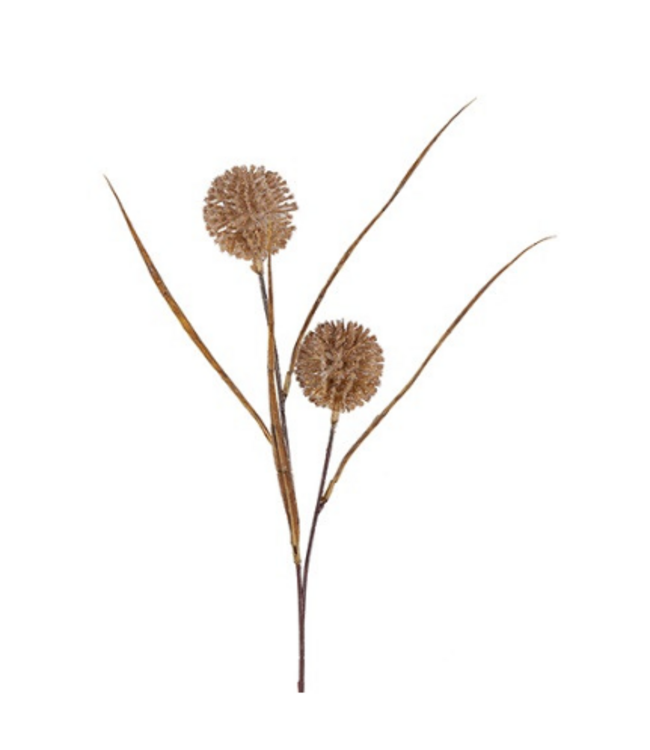 Countryfield # Gras/Pluim Allium 2x bruin-13x7x65CM