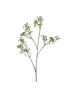 Countryfield # Bes Ilex Verticillata S groe-8,5x12x77CM