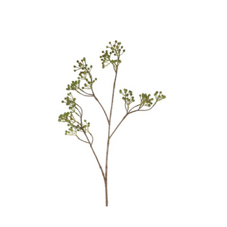 Countryfield Bes Ilex Verticillata S groe-8,5x12x77CM