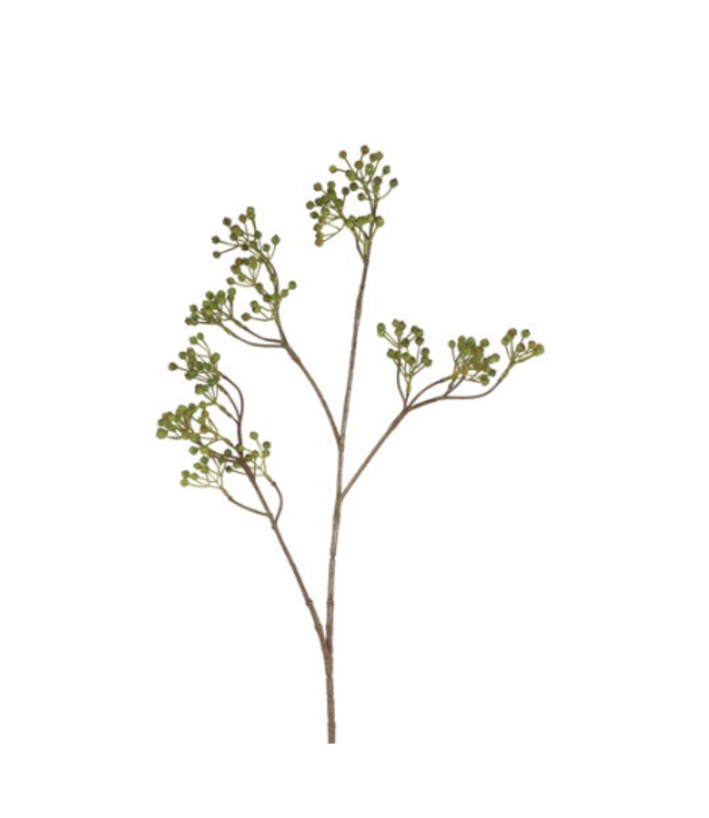 Countryfield # Bes Ilex Verticillata S groe-8,5x12x77CM