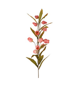 Countryfield # Bloem Sandersonia miranda roze-15x15x99CM