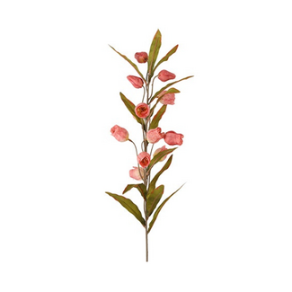 Countryfield Bloem Sandersonia miranda roze-15x15x99CM