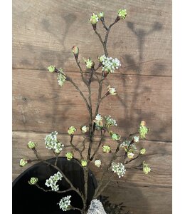 # Esdoorn fruit tak Quince  L wit - 110 x 22 x 4 cm