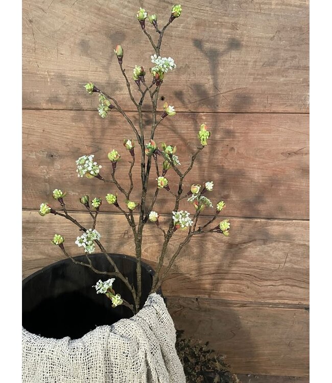 # Esdoorn fruit tak Quince  L wit - 110 x 22 x 4 cm