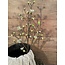# Esdoorn fruit tak Quince  L wit - 110 x 22 x 4 cm